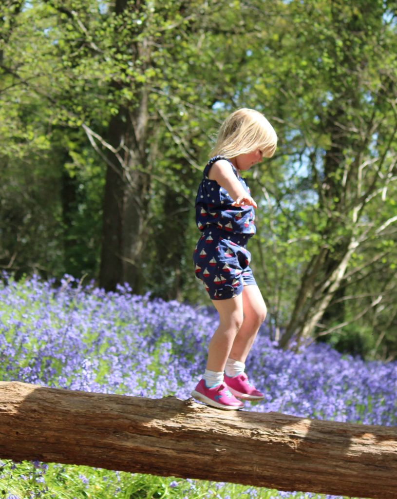 Bluebell Wood