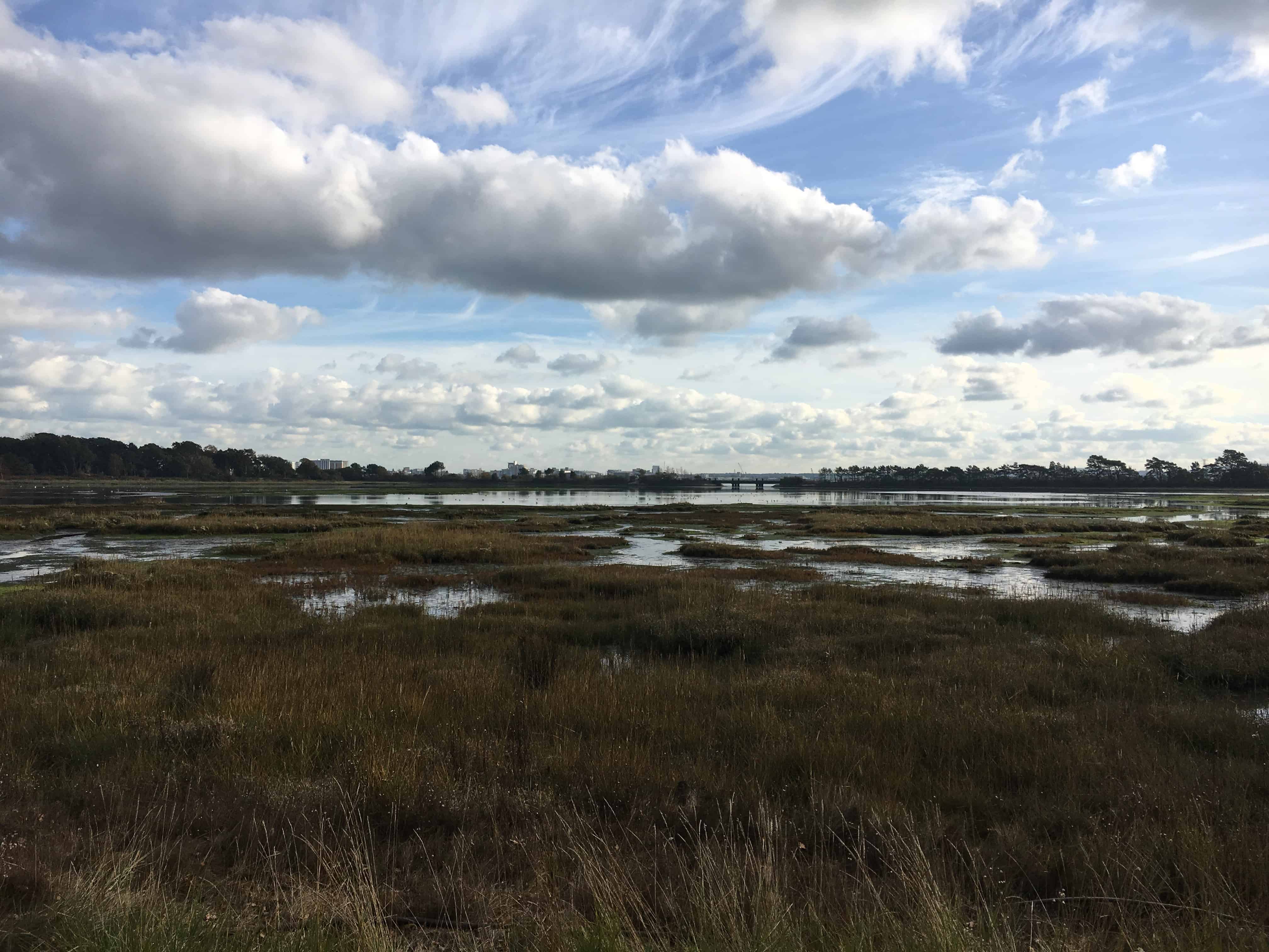 Holes Bay