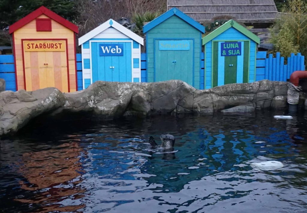 Weymouth Sealife Centre