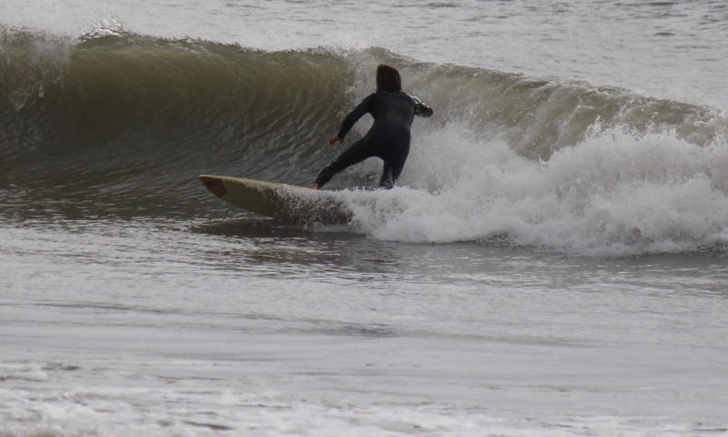 Surfer