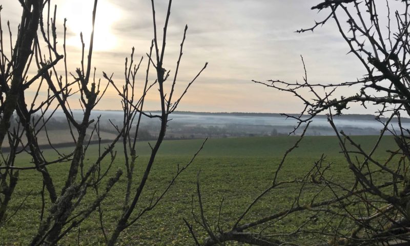 Tolpuddle, Dorset