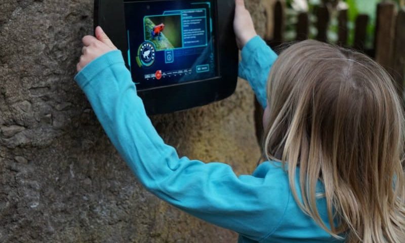 Marwell Eliza