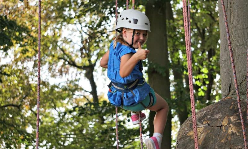 Tree Climbing