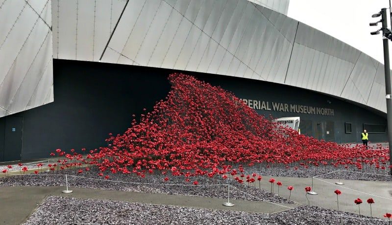 Poppy Wave