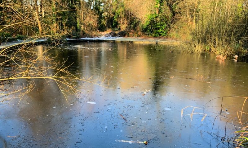 Ice Pond