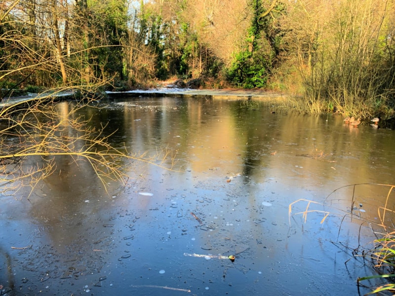 Ice Pond