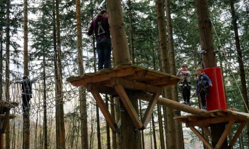 Zip World Fforest