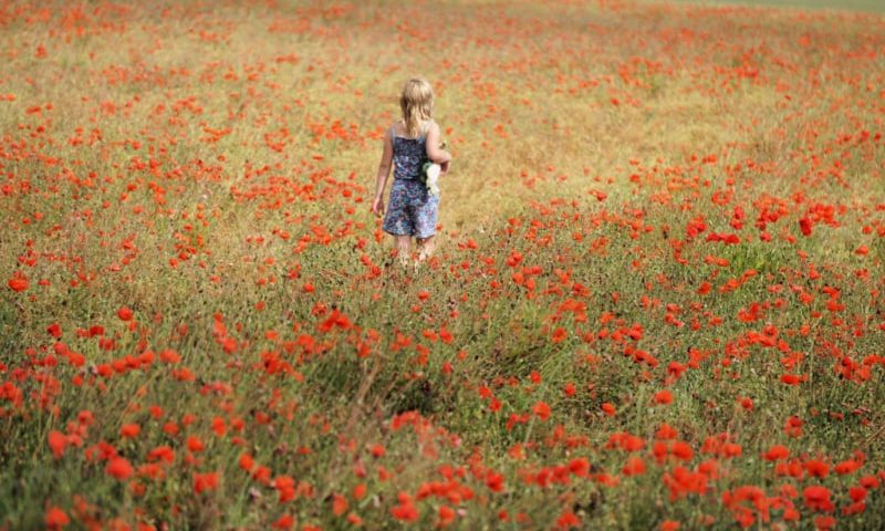 Eliza-Poppy-Field-1