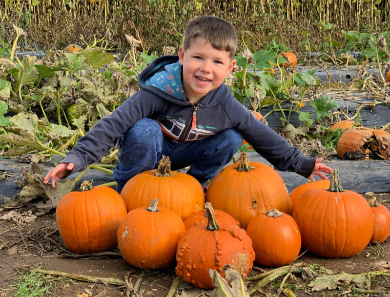 Dragon Adventures Pumpkin Picker