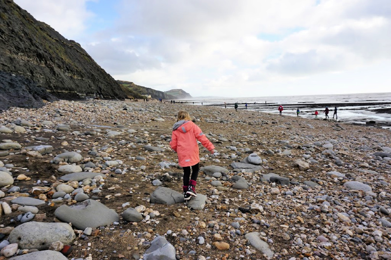 Charmouth Beach Fossil Walk