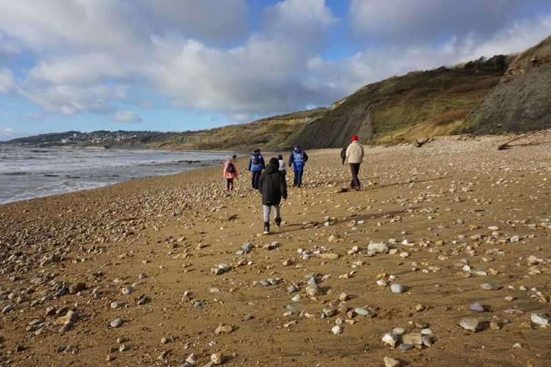 Charmouth Beach Fossil Walk