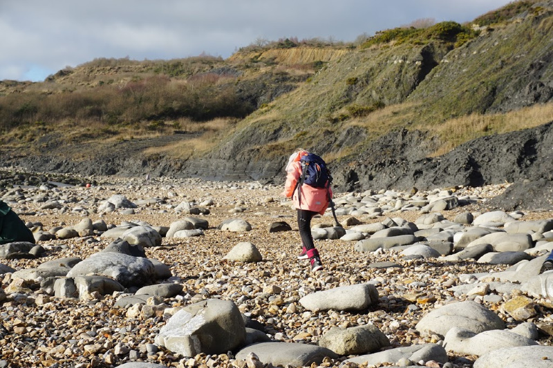 Charmouth Beach Fossil Walk