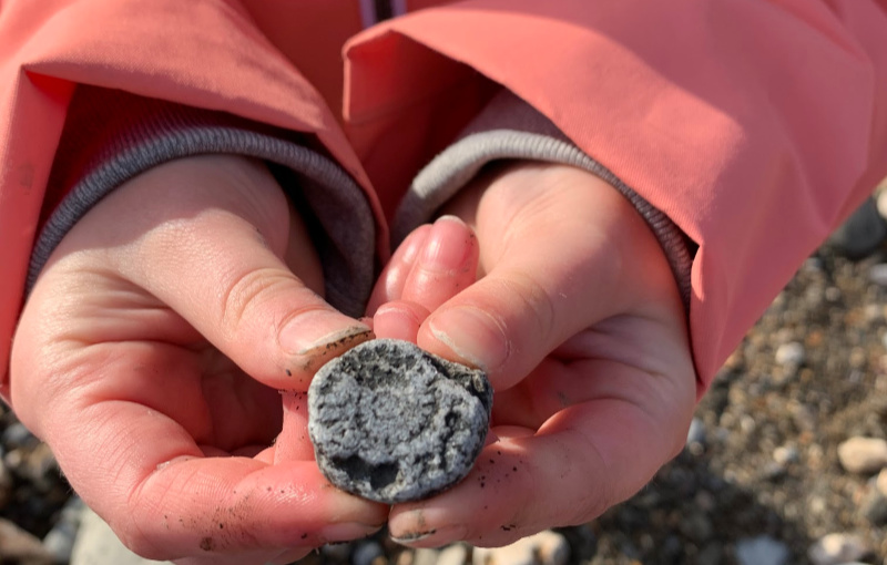 A Guided Fossil Hunting Walk in Charmouth Destination travel blog