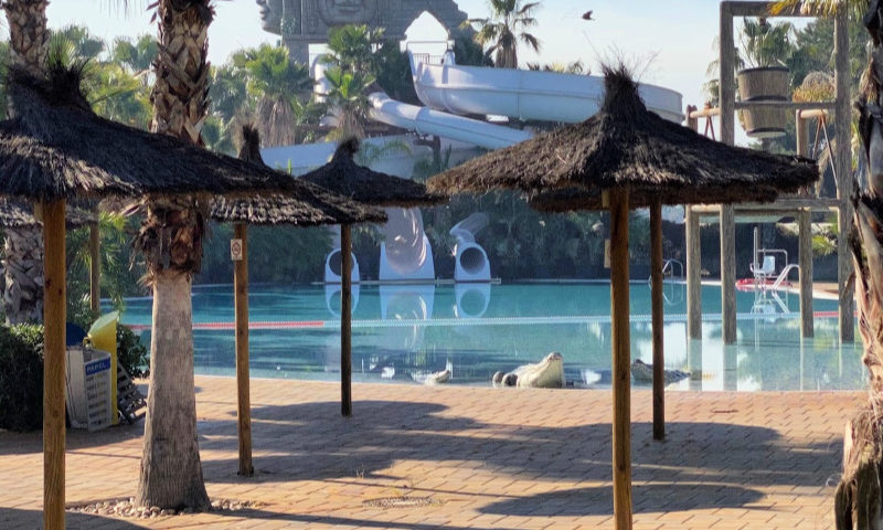 Swimming-Pool