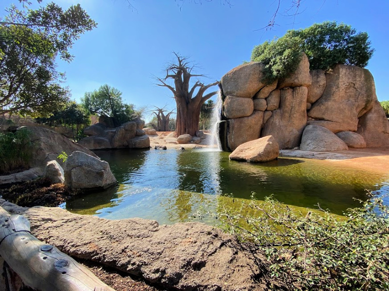 Review Bioparc Valencia Destination travel blog