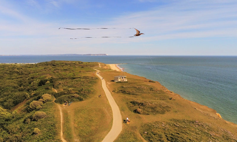 Kite