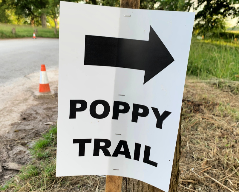 Poppy Trail