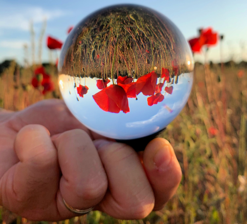 Poppy-lensball