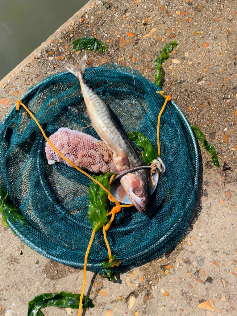 crabbing