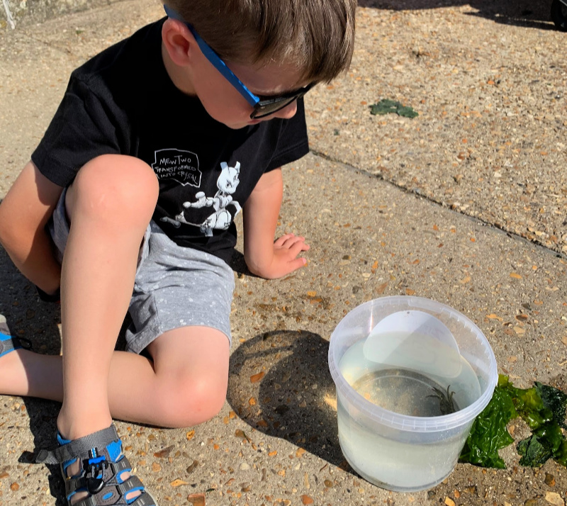 Eco Crabbing at Padstow – UK Active Outdoors Blog