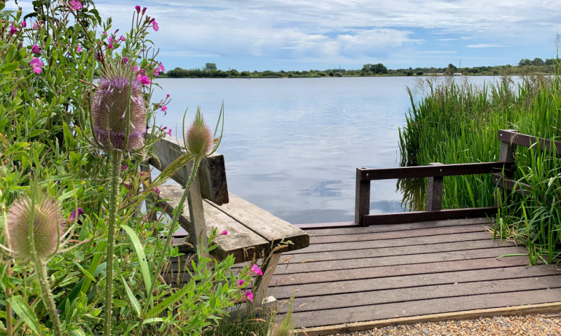 Thistles-Longham-Lakes