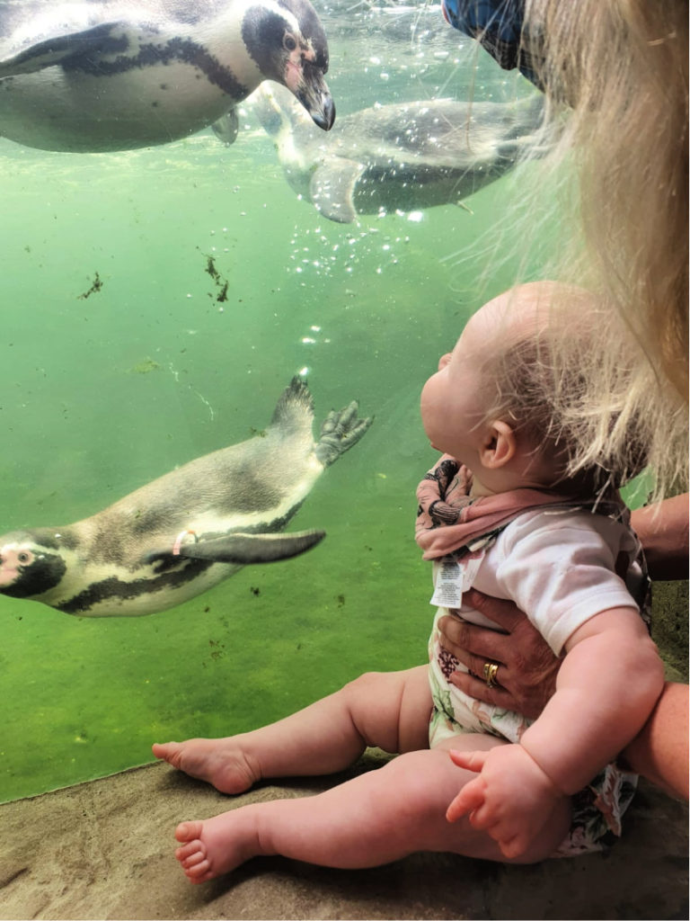 Weymouth Sea Life Centre