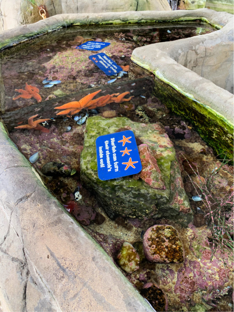 Weymouth Sea Life Centre