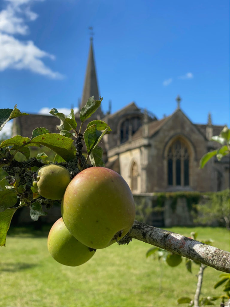 Lacock Abbey