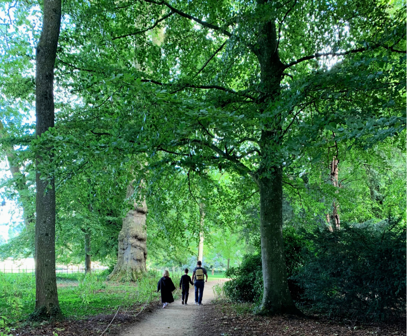 Lacock Abbey