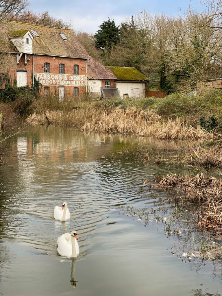 Throop Mill