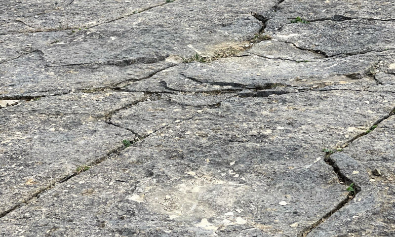 Dinosaur-footprints-Swanage