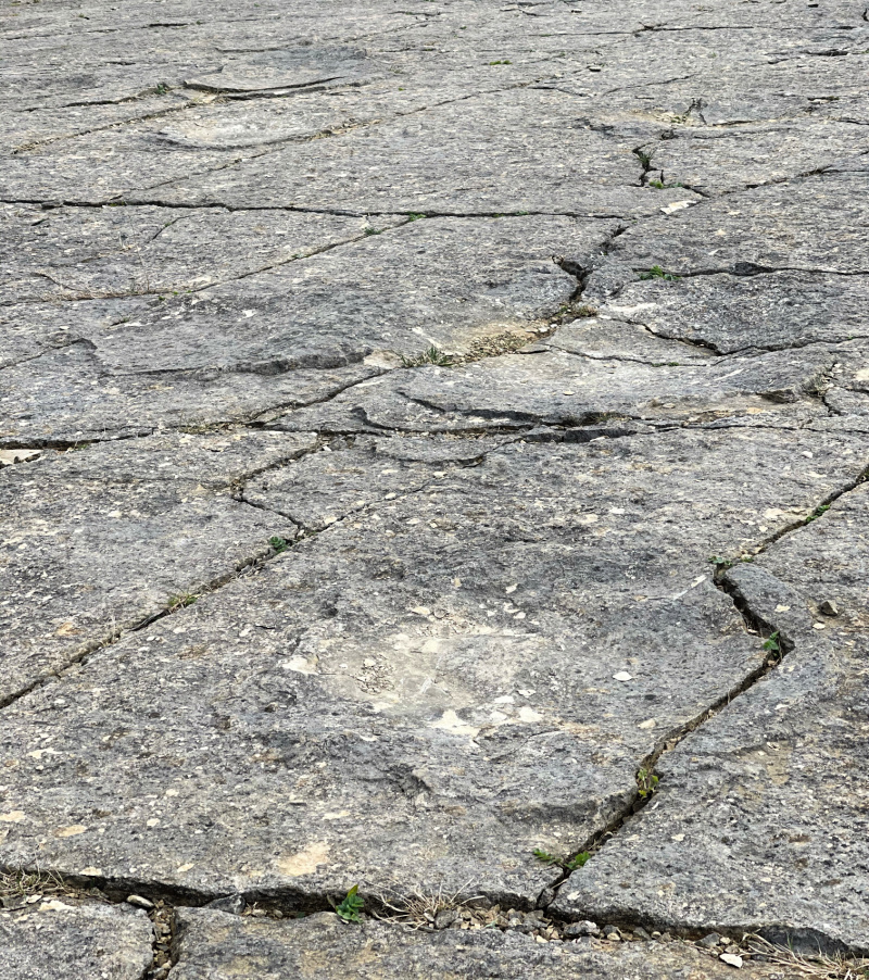 Dinosaur-footprints-Swanage