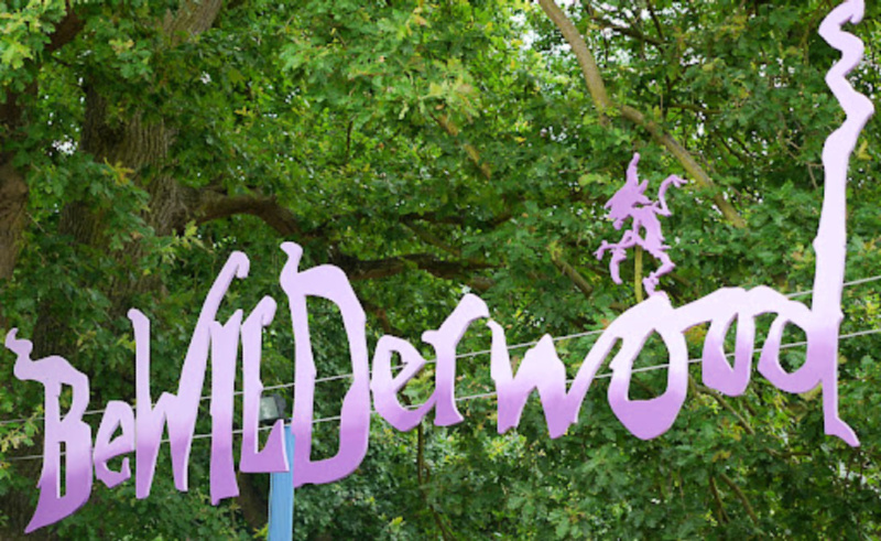 Bewilderwood