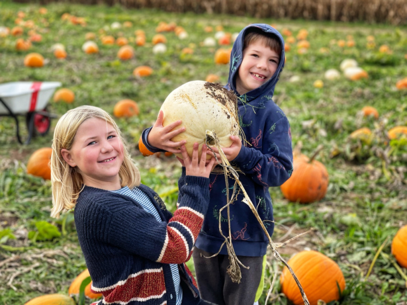 Pumpkin-Picking