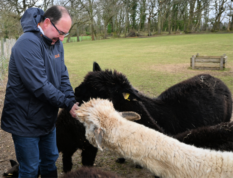 Dorset Walking with Alpaca s at Hope Farm Review Destination