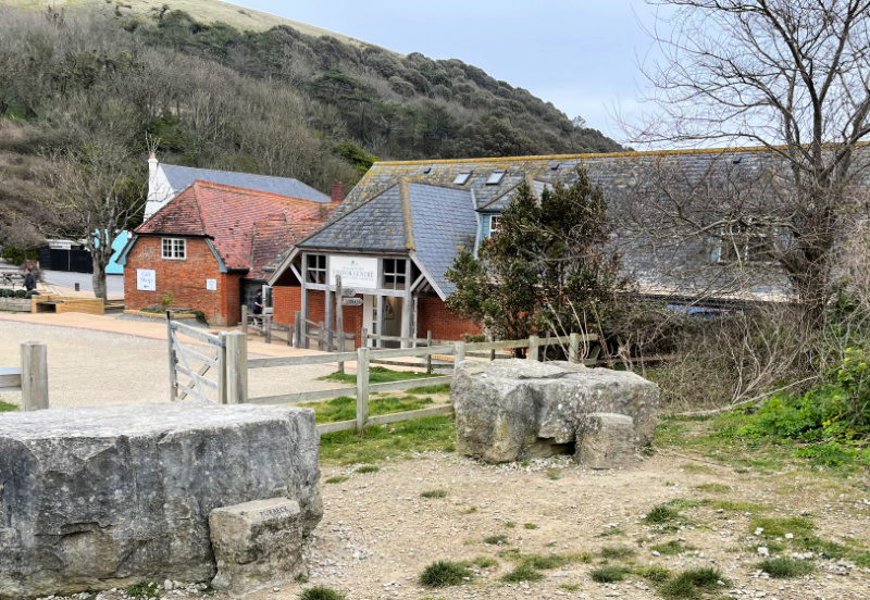 Jurassic Coast Walks Lulworth Cove to the Fossil Forest