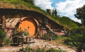 brown and orange house with outdoor plants