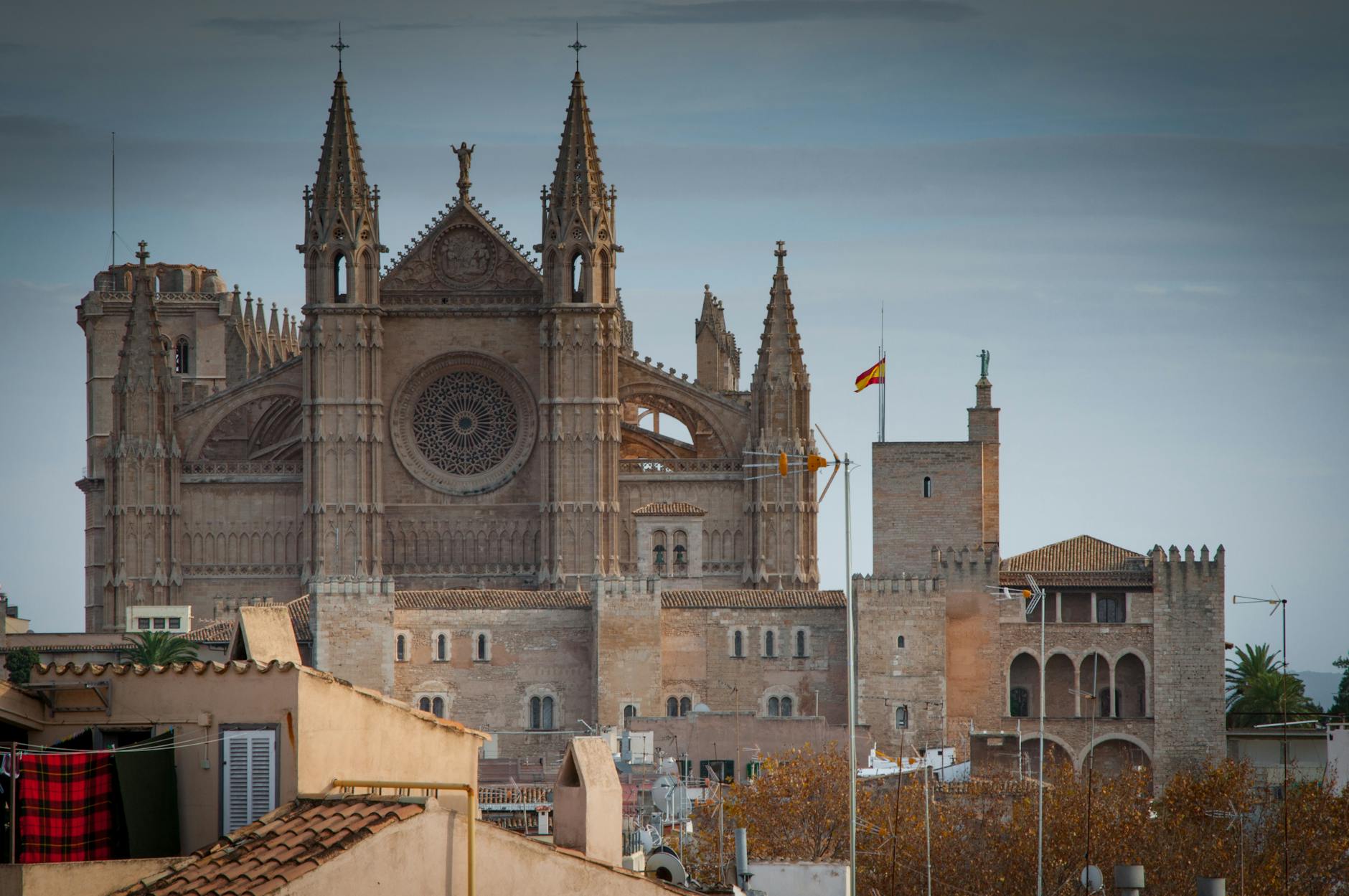 mallorca cathedral