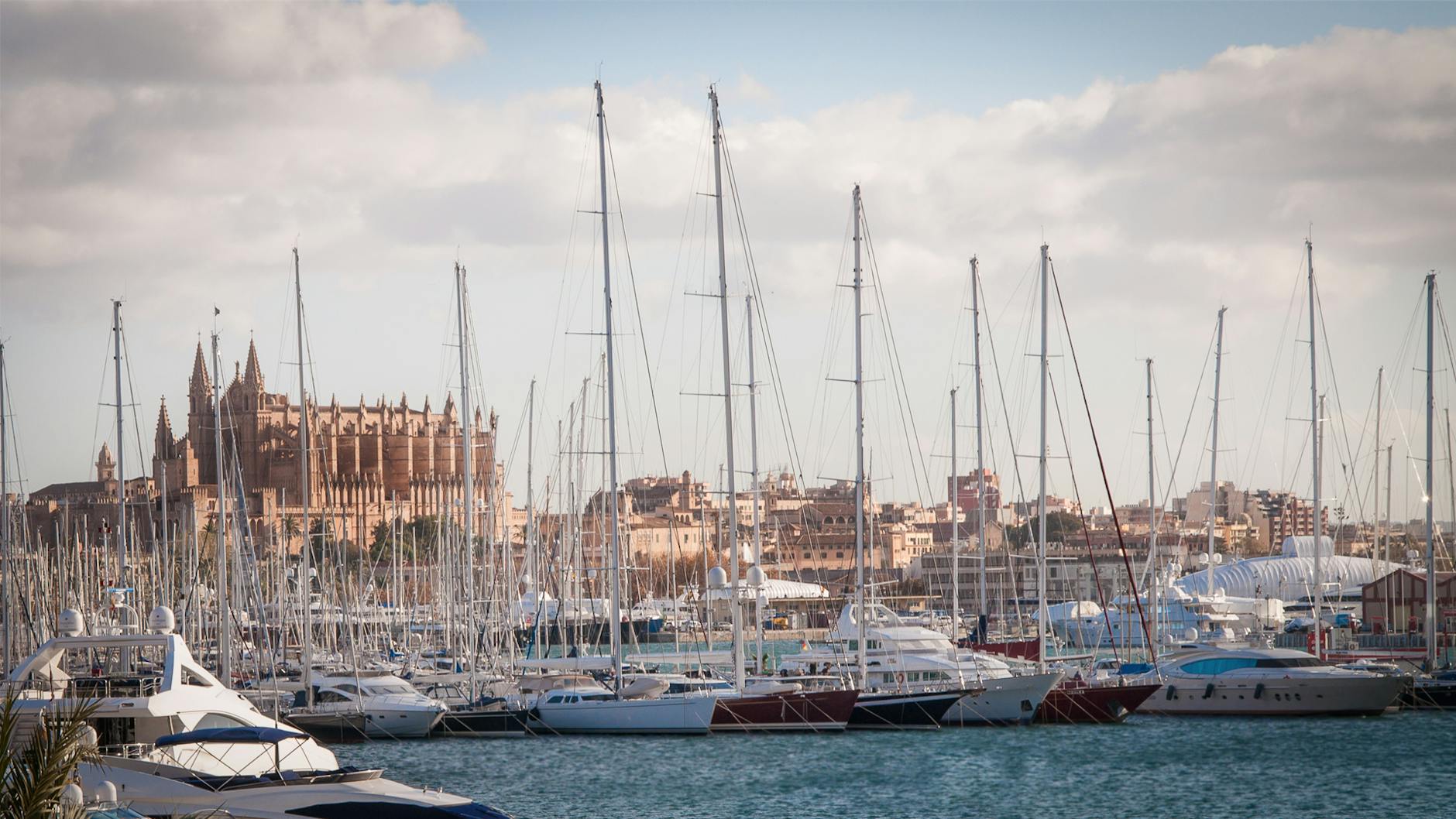 yachts docked at pier