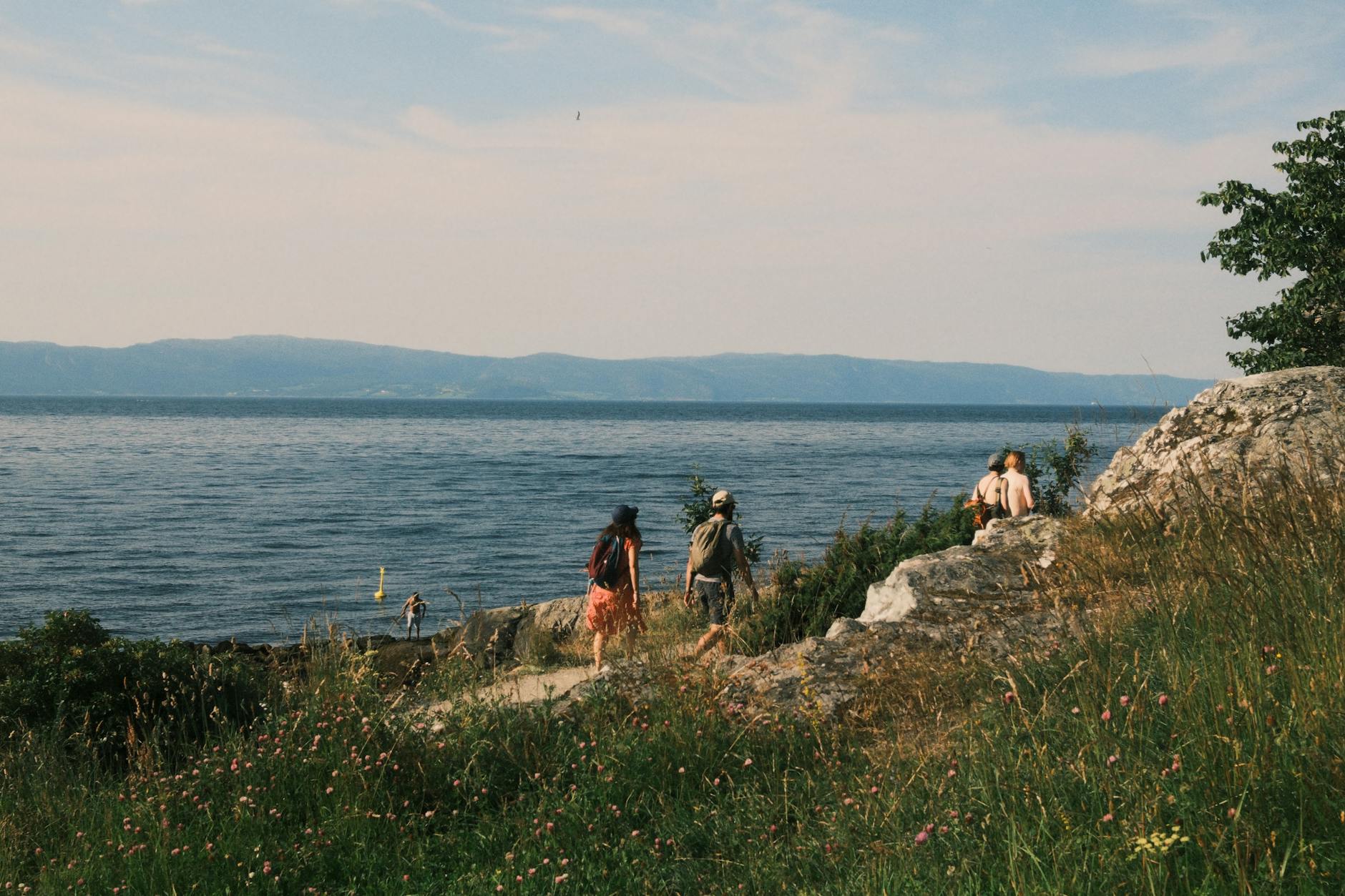 hiking by the scenic coastal path in summer
