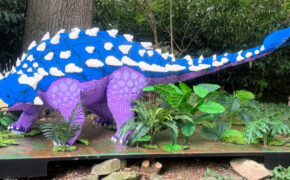 Dinosaur lego