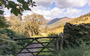 scenic troutbeck pathway in summer light