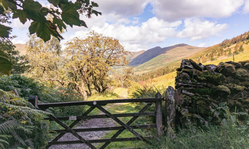 scenic troutbeck pathway in summer light
