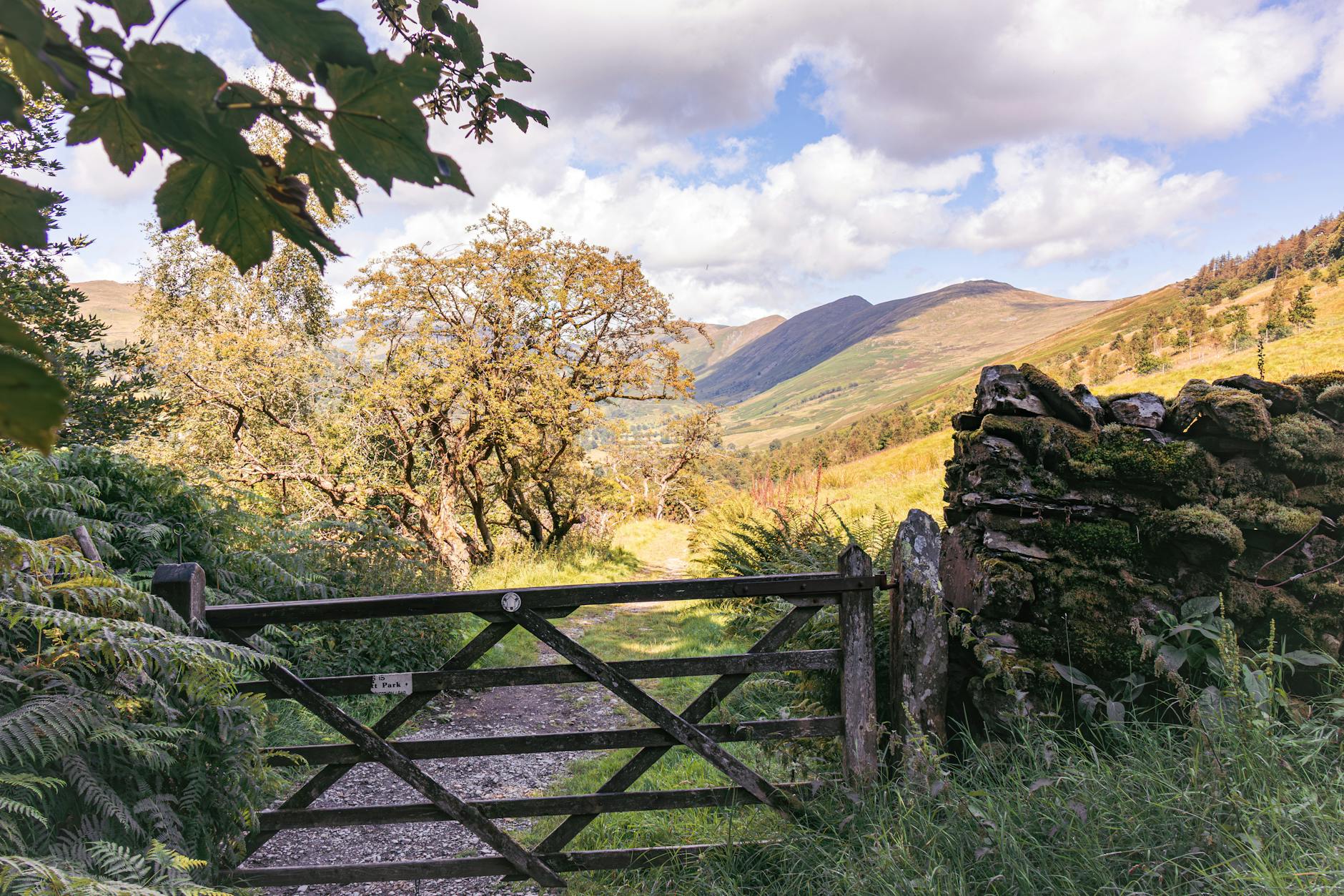 scenic troutbeck pathway in summer light