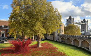 Poppies Tower Bridge