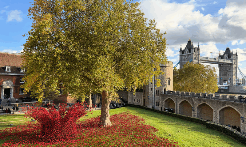 Poppies Tower Bridge