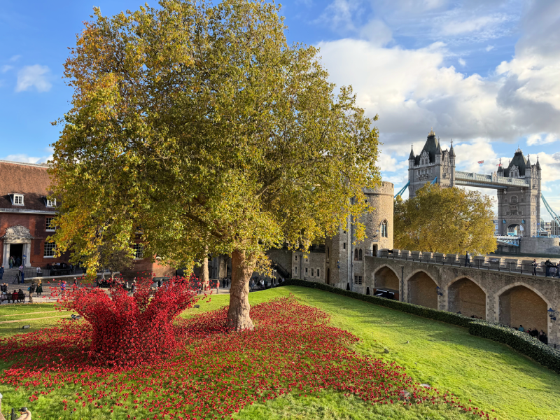 Poppies Tower Bridge